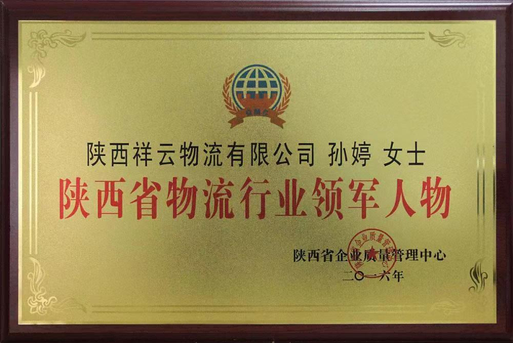 陕西省物流行业领军人物