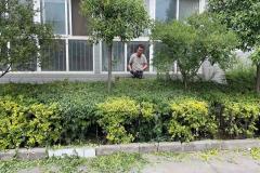 祥云园丁：用花剪描绘佳景，让园区焕发新颜