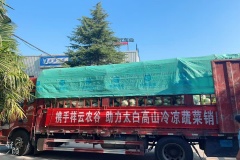 乡村振兴进行时  政企联动破滞销——祥云物流畅通高山冷凉蔬菜“出山路”