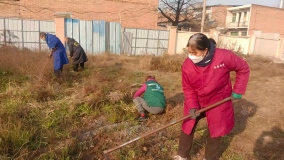 寒冬除险不松懈 清理杂草护安全 ——祥云物流开展冬季空置区域除草行动
