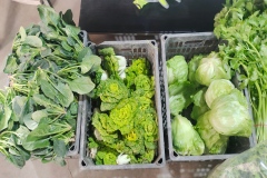 祥云菜园：从田间到餐桌，直供生态好食材