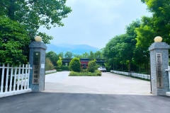 葡园结硕果 研学启新程