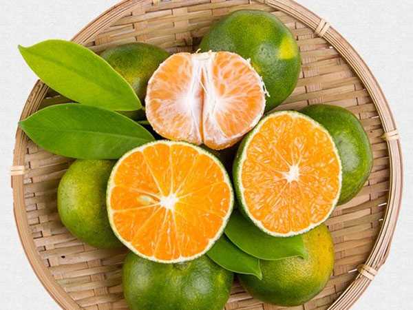 湖南特产回龙蜜桔